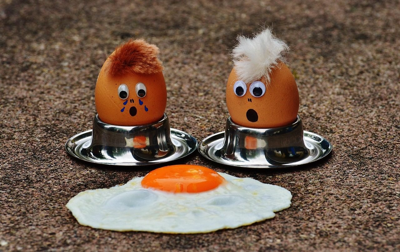 eggs, fried egg, grief, fun, cute, food, egg, egg yolk, fried eggs, protein, eggs, eggs, fried egg, grief, grief, egg, egg, egg, egg yolk, protein, protein, protein, protein, protein