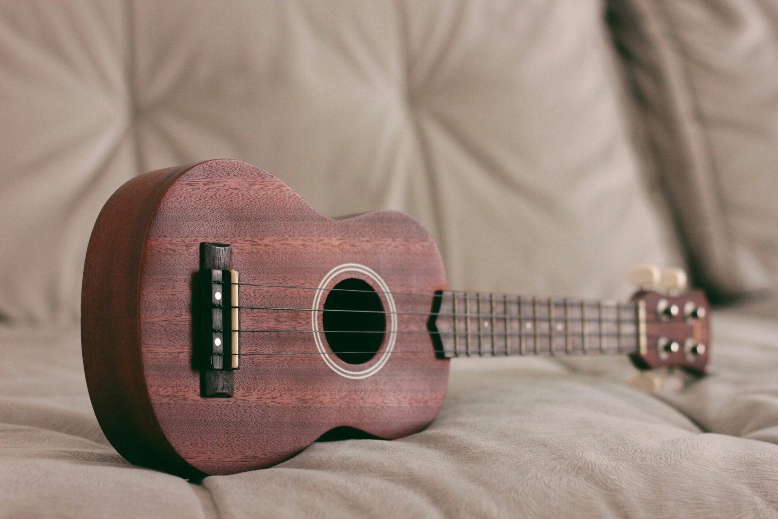 Why the Ukulele is Awesome!